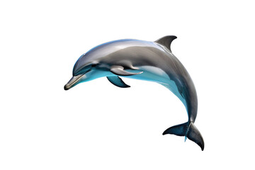 Fototapeta premium Dolphin, full body, gracefully arched, center frame, isolated on a white background, crystal clear, high quality stock photograph, natural pose, ultra-realistic, high-key lighting