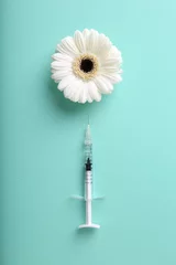 Poster Cosmetology. Medical syringe and gerbera flower on turquoise background, flat lay © New Africa
