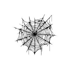 Doodle spider web icon on white background.