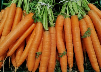 Carrot's Symphony of Vibrancy: A Culinary Ballet in the Earth's Canvas, Unveiling the Nutrient-Rich...