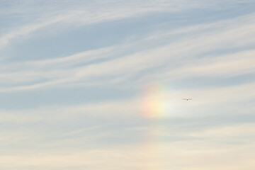 Sundog in the sky