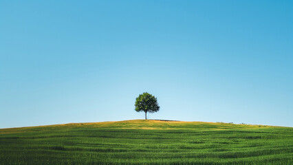 Fototapeta premium a minimalist background for a presentation deck on sustainability