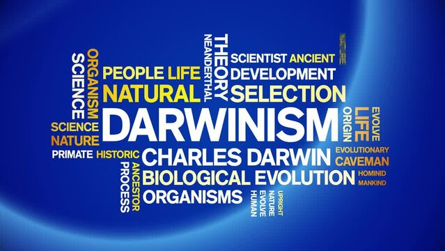 Darwinism animated tag word cloud;text design animation kinetic typography seamless loop.