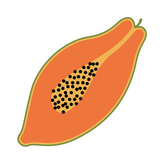 Papaya fruit vector illustration in flat style