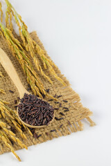 Close up rice berry on white background with copy space for design