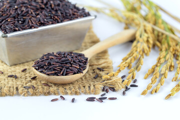 Rice berry on white background.
