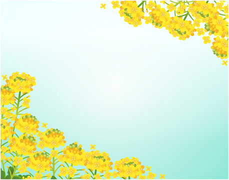 菜の花のフレーム飾り枠