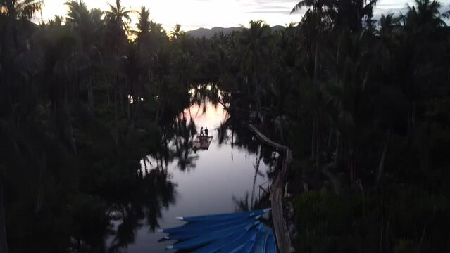 Maasin river palm forest in Siargao at sunset, aerial
