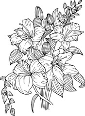Botanical illustration of lily flower. hand drawn flower composition on isolated background. Lily flower tattoo design.