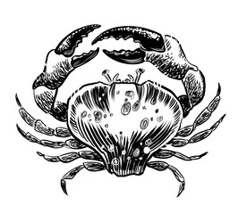 Sea crab. Hand-drawn retro styled black and white illustration