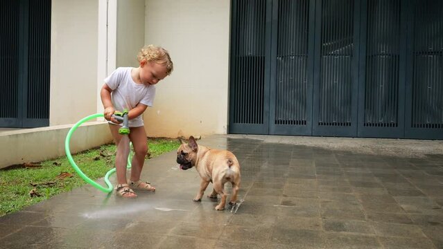 Young child stays, trying to wash driveway with hose, while playful puppy runs around, trying to catch water stream. Wet and joyful scene in suburban district, slow motion shot.
