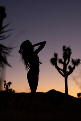 silhouette of a person in a desert