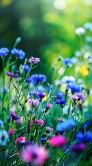 Obraz na płótnie Canvas Vibrant Blue Cornflowers Blooming in a Lush Garden During Springtime