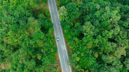 Aerial view of dark green forest road and white electric car Natural landscape and elevated roads Adventure travel and transportation and environmental protection concept	
