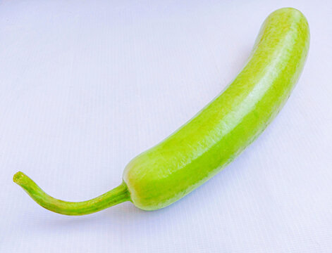 Long bottle gourd squash green vine vegetable food long-calabash gourds (lambi  lauki doodhi dudhi) fresh organic cabaca longa agriculture produce closeup view image photo 