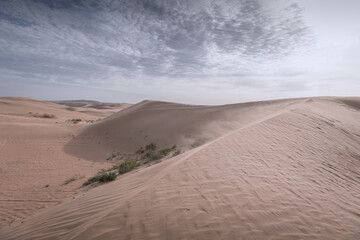 Tengger desert scenery, Inner Mongolia, China.