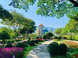 "Charming Chiang Mai Flower Festival", the charm of Chiang Mai. city ​​of beautiful flowers