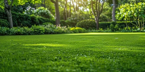 Fotobehang grass in the garden, manicured lawn © Borin
