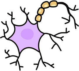 Neuron. nervous system illustration