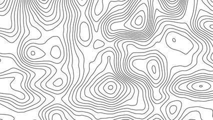 Topographic map background. Abstract wavy topographic map. Abstract wavy and curved lines background. Abstract geometric topographic contour map background.	