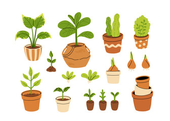 Vector set of gardening pots and plants in pots isolated on white background. Bundle of home plants and repotting. Big set of garden elements.