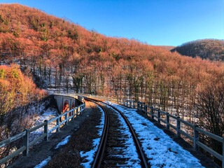 railway in autumn