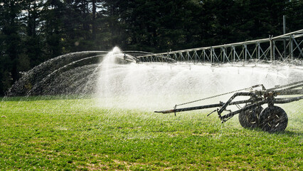 Large scale irrigation system for a dairy farm.