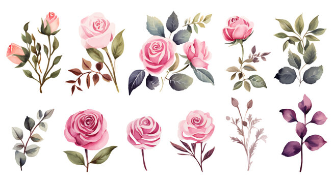 A set of pink watercolor flowers and leaves clipart isolated on a white background