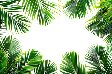 Fototapeta na wymiar Lush green palm leaves frame a tropical paradise with a hint of blue sky