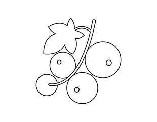 red currant outline for coloring book template, redcurrant for kids illustration worksheet printable