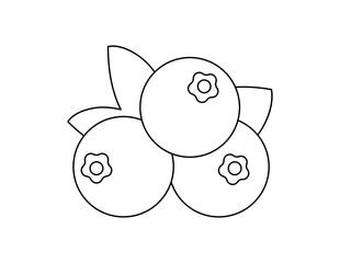 blueberry outline for coloring book template, blueberry for kids illustration worksheet printable