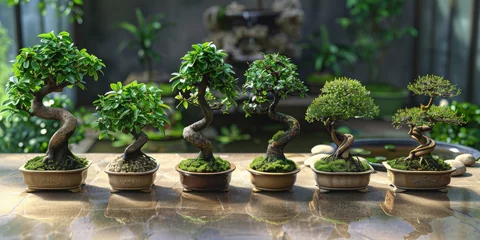 Afwasbaar fotobehang A Lush Array of Bonsai Trees Bathing in Sunrays, Showcasing the Beauty and Precision of the Bonsai Craft, Generative AI © Ben