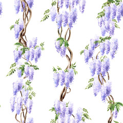 Wisteria lilac  spring flowers.  Hand drawn watercolor  seamless pattern isolated on white background