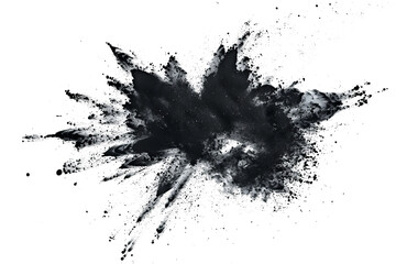 black paint color powder festival explosion burst isolated white background. - obrazy, fototapety, plakaty
