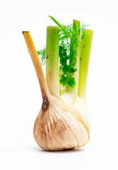 Faule Zwiebelknolle