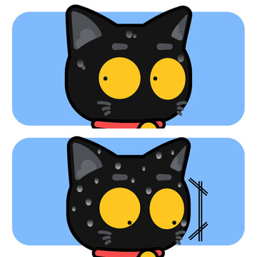 Balck cat guilty