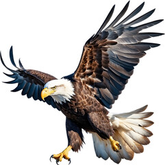 Naklejka premium Watercolor painting of Bald Eagle. 