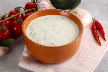 Traditional delicious appetizer; greek tzatziki (Turkish name; cacik)