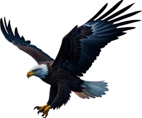 Fototapeta premium Watercolor painting of Bald Eagle. 
