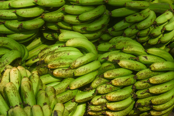 Banana. Just a lots of banana