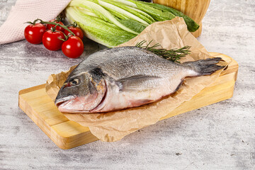 Raw dorada fish served rosemary