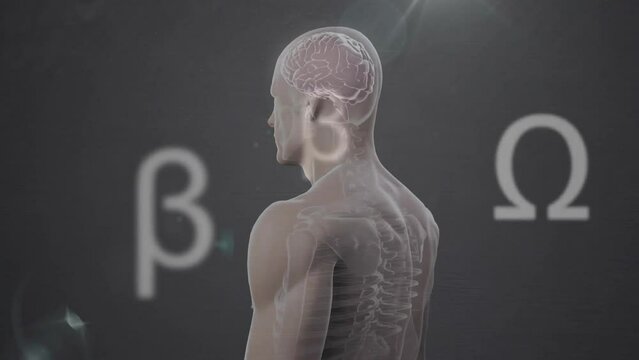 Animation of mathematical symbols over spinning digital human