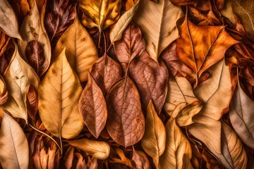 Fotobehang background of dried leaves macro © Eun Woo Ai