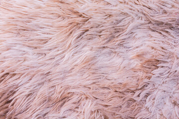 Fur carpet background, Close up carpet.