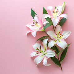 Fototapeta na wymiar Spring flowers lily Bouquet on pastel, generative Ai