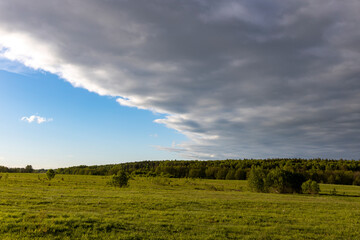 Fototapeta premium Sunny landscape against a dramatic sky, countryside in early spring, young green grass in a field