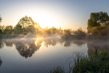 Fototapeta na wymiar Sun rays shining through the crown of trees, early morning over the river, rising sun, foggy morning