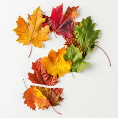 Query of Nature - Autumn Leaves Shaped as a Question Mark on White Background