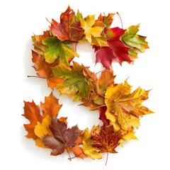 Naklejka na ściany i meble Colorful Autumn Alphabet - Vibrant Fall Foliage Shaped as Letter S on a Pristine White Backdrop