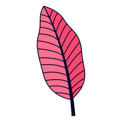 Tropical Leaf Clipart